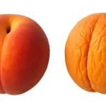 تزریق فیلر بیکینی